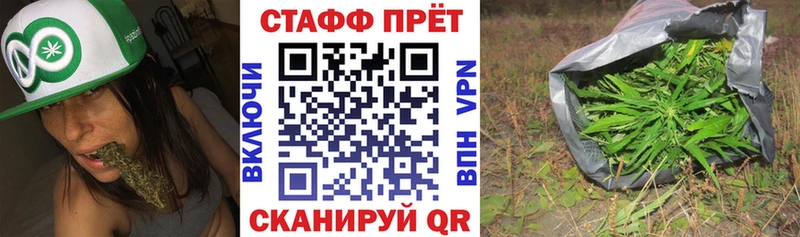 Магазины продажи наркотиков Гаджиево Галлюциногенные грибы  ссылка на мегу онион  Меф  Каннабис  А ПВП 