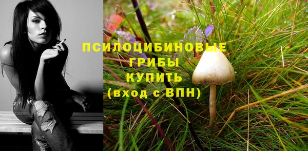 кокс Верея
