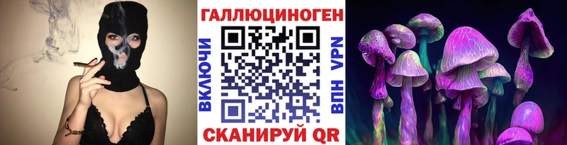 наркота  Гаджиево  hydra как войти  Галлюциногенные грибы MAGIC MUSHROOMS 