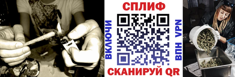 магазин продажи Гаджиево Бошки марихуана ГИДРОПОН